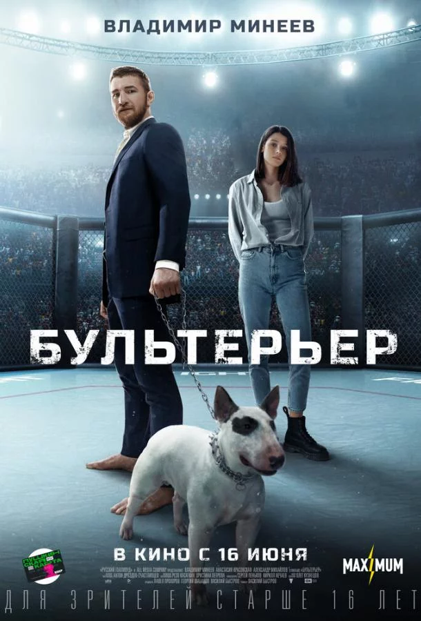 Бультерьер 