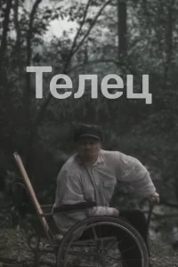 Телец 